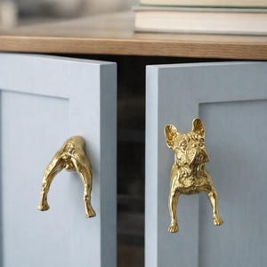 May include: Gold-colored cabinet hardware featuring a French Bulldog design. One handle depicts the dog's rear, the other the dog's front. The hardware is mounted on light blue cabinet doors. A stack of books sits on a wooden surface above.