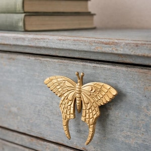 Può includere: Maniglia dorata a forma di farfalla su un comò azzurro. La farfalla presenta dettagli intricati sulle ali. Tre libri impilati sullo sfondo suggeriscono un tema vintage. Il legno ha un aspetto invecchiato.