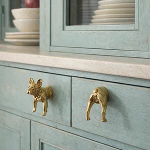 Pode incluir: Puxadores dourados para armários em forma de buldogue francês. Um mostra a cabeça e as patas dianteiras do cão, o outro a parte traseira. Os puxadores estão montados num armário azul claro.