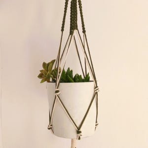 Puede incluir: Una maceta de cerámica blanca con un colgador de plantas de macramé verde y crema. La maceta contiene suculentas verdes. El colgador de macramé está suspendido de un solo punto y tiene un diseño geométrico. La planta y el colgador están sobre un fondo blanco.
