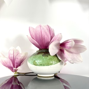 Könnte beinhalten: Eine kleine, runde Keramikvase mit grüner und weißer Glasur enthält rosa Magnolienblüten. Die Vase spiegelt sich auf einer glänzenden Oberfläche mit weißem Hintergrund. Die Blüten haben eine zarte rosa Farbe.