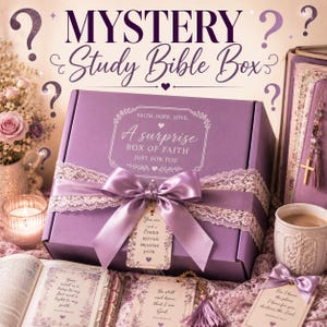 MYSTERY Study Bible Box