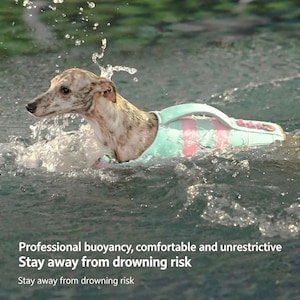 May include: A light green dog life jacket with pink stripes and a handle, worn by a brindle dog swimming in water. The text reads: Professional buoyancy, comfortable and unrestrictive. Stay away from drowning risk. Stay away from drowning risk.