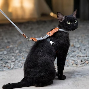 Rymningssäker kattsele och koppelset, justerbar kattsele, dragfri kattvästsele, kattkoppelset mjuk och lätt sele för promenader till katt