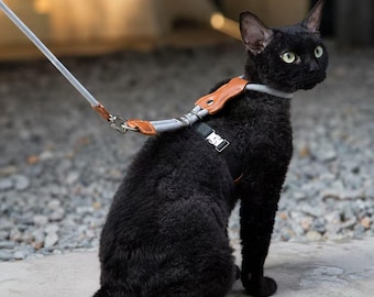 Conjunto de arnés y correa a prueba de escapes para gatos, arnés ajustable para gatos, arnés tipo chaleco antitirones para gatos, conjunto de correa para gatos, arnés suave y ligero para pasear gatos.
