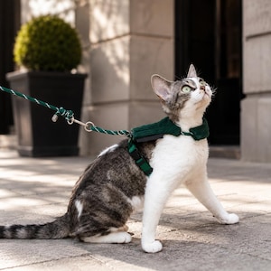 Escape Proof Cat Harness and Leash Set, Adjustable No Pull Cat Harness, Lightweight Cat Walking Harness, Outdoor Cat Travel Gear