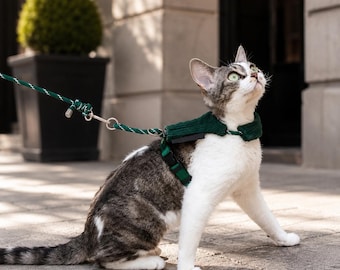 Conjunto de arnés y correa a prueba de escapes para gatos, arnés ajustable antitirones, arnés ligero para pasear gatos, equipo de viaje para gatos al aire libre.
