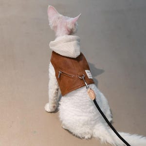 Sphynx Cat Harness with Clothes | Devon Rex Cat Outfit Leash Set | Breathable Cotton Hairless Cat Vest | Outdoor Walking Kitten Harness