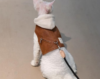 Sphynx Cat Harness with Clothes | Devon Rex Cat Outfit Leash Set | Breathable Cotton Hairless Cat Vest | Outdoor Walking Kitten Harness
