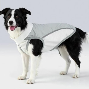 Puede incluir: Un Border Collie blanco y negro lleva puesto un chaleco para perro de color gris claro y blanco con cuello alto. El chaleco presenta una textura de rejilla, ribetes de color gris oscuro y un pequeño logotipo circular en el lateral.