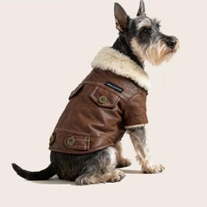 Op de afbeelding: Een hond draagt een bruine leren jas met een crèmekleurige schapenvachtkraag. De jas heeft twee voorzakken met knoopsluitingen en een klein label op de bovenrug. De hond is een Schnauzer-mix met zwart, grijs en bruin haar.