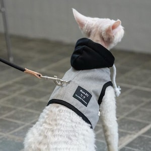 Könnte beinhalten: Ein kleiner weißer Hund, der eine grau-schwarze Kapuzenweste mit Leine trägt. Die Weste hat eine schwarze Einfassung und ein kleines rechteckiges Textschild. Der Hund ist von der Kamera abgewandt.