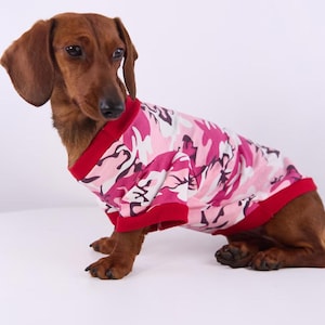 Könnte beinhalten: Ein brauner Dackel trägt ein rosa Tarnmuster-Shirt mit rotem Besatz. Der Hund sitzt auf einer weißen Oberfläche, mit einem schlichten weißen Hintergrund. Das Shirt hat einen V-Ausschnitt.