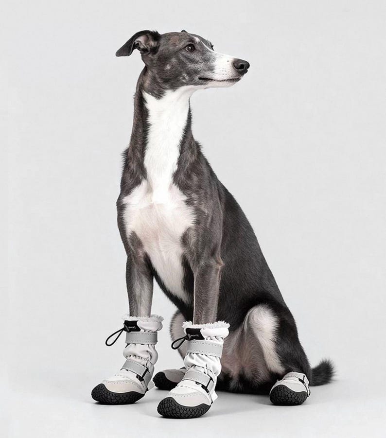 Dog Boots That Stay On, Winter Dog Boots, Waterproof Fleece Lined Dog ...