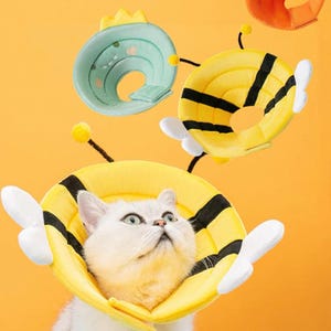 May include: A white cat wearing a yellow and black bee-themed recovery collar, with white wings and antennae. Other recovery collars in the image include a green dinosaur-themed collar and an orange collar, all against an orange background.