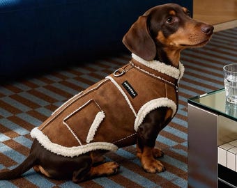 Warm wintervest voor kleine honden, teckel-, teddy- en schnauzerjas, gewatteerde jas voor puppy's in de herfst en winter, dierenkleding