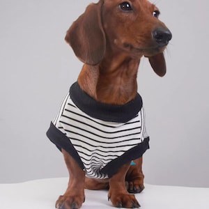 Kleding voor teckels: gestreept mouwloos shirt voor kleine honden, zomeroutfit voor teckels, kleding voor teckels afbeelding 7