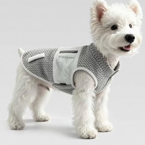 Könnte beinhalten: Ein weißer West Highland White Terrier trägt eine graue Hundeweste mit weißem Zickzackmuster. Die Weste hat einen einfarbigen weißen vertikalen Einsatz auf dem Rücken mit einer kleinen schwarzen Reißverschlusstasche und dem Schriftzug POPOCOLA.