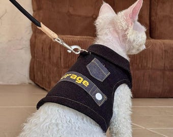 Arnés para gato Sphynx con ropa | Conjunto de correa y atuendo para gato Devon Rex | Chaleco transpirable de algodón para gatos sin pelo | Arnés para gatitos para pasear al aire libre