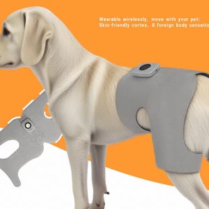 Red Light Therapy for Dogs, Dachshund & French Bulldog Hip Pain Relief, Wireless Pet Therapy Wrap, Arthritis Support for Small Dogs