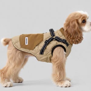 Könnte beinhalten: Eine gesteppte, beige Hunde-Weste mit einem braunen Schulteraufnäher und schwarzen Geschirrriemen. Die Weste hat einen rechteckigen Aufnäher mit weißem Text. Der Hund ist ein hellbrauner Cocker Spaniel.