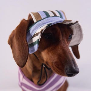 Dog Sun Hat, Dog Summer Hat UV Protection, Pet Sun Cap Breathable Dog Hat Adjustable Puppy Hat Small Medium Large Dog Accessories