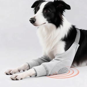 Protector de codo para perros grandes. Soporte articular para razas medianas y grandes. Rodillera y vendaje para golden retriever y border collie.