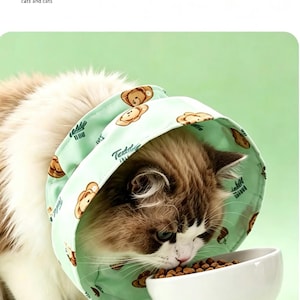 May include: A cat wearing a mint green cone collar with a teddy bear pattern, eating from a white ceramic bowl. The text on the collar reads "Tudd" and "Tule". The image also includes the text "Free and comfortable, does not hinder eating :) Pay more attention to hygiene after sterilization of cats and cats."