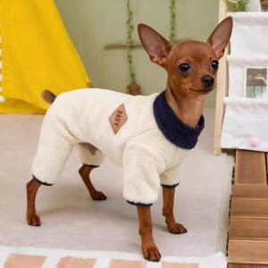 May include: A small brown dog wearing a cream-colored, full-body dog jumpsuit with navy blue trim and a navy blue collar. The jumpsuit has a small diamond-shaped patch that reads "BABY". The dog is standing on a light-colored surface.