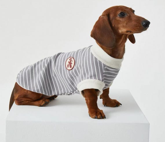 Dachshund Dog Clothes Striped Sleeveless Dog Shirt for Small Dogs, Sausage Dog Summer Outfit, Dachshund Clothing