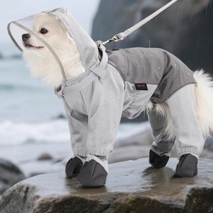 Op de afbeelding: Een kleine witte hond met een lichtgrijze waterdichte hondenregenjas met een doorzichtige capuchon en bijpassende grijze laarsjes. De hond staat aan de lijn en staat op een natte rots. De regenjas heeft een donkergrijze rug.