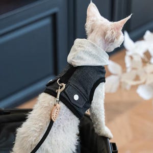 Könnte beinhalten: Ein kleiner weißer Hund, der eine graue Jeansweste mit einer hellgrauen Kapuze trägt. Die Weste hat eine Tasche und eine Leine. Der Hund schaut weg.