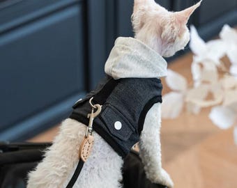 Arnés para gato Sphynx con ropa | Conjunto de correa y atuendo para gato Devon Rex | Chaleco transpirable de algodón para gatos sin pelo | Arnés para gatitos para pasear al aire libre