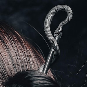 Pode incluir: Um acessório de cabelo em metal escuro com um design de serpente enrolada em torno da haste. A serpente apresenta escamas detalhadas e um formato de cabeça distinto, com o corpo curvando-se para cima. O acessório está inserido em cabelo escuro.
