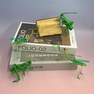 以下が含まれることがあります： 赤色のアクセントが付いた、手作りの緑色のワイヤーバッタの彫刻のコレクション。本の上に配置されています。本には「FOLIO-02」と「LOOKBOOK」というタイトルが付いています。小さな木の塊も含まれています。