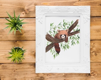 Watercolor Red Panda In Tree - Fine Art Prints Nursery Art Zoo Animals - Baby Room / Shower Gift / New Baby Gift