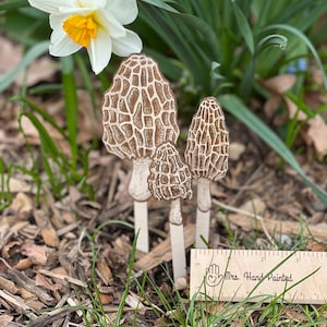 May include: Three wooden morel mushrooms painted in brown and white with a textured pattern. The mushrooms are standing upright on a brown and green background with a ruler that reads "Mrs. Hand Painted" in the foreground.