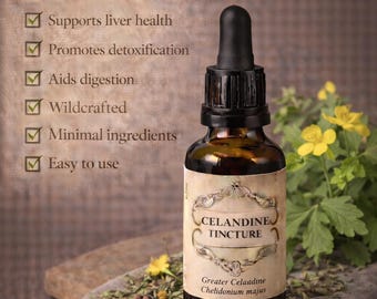 Schöllkraut Kräutertinktur Alkohol-Extrakt | Chelidonium Majus Botanische Tinktur | Traditionelle Kräuterzubereitung