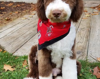 osu dog jersey