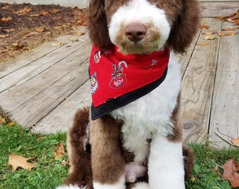 osu dog jersey