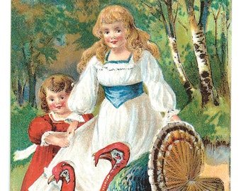 Vintage 1909 Thanksgiving Postcard: Embossed Turkey Ephemera