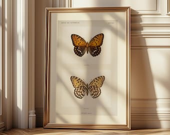 Plakat z ilustracją historii naturalnej, antyczny wystrój entomologiczny do salonu