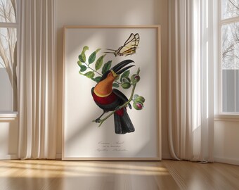 Toucan Wall Art Print – Vintage Tropical Bird Illustration, Exotic Nature Poster