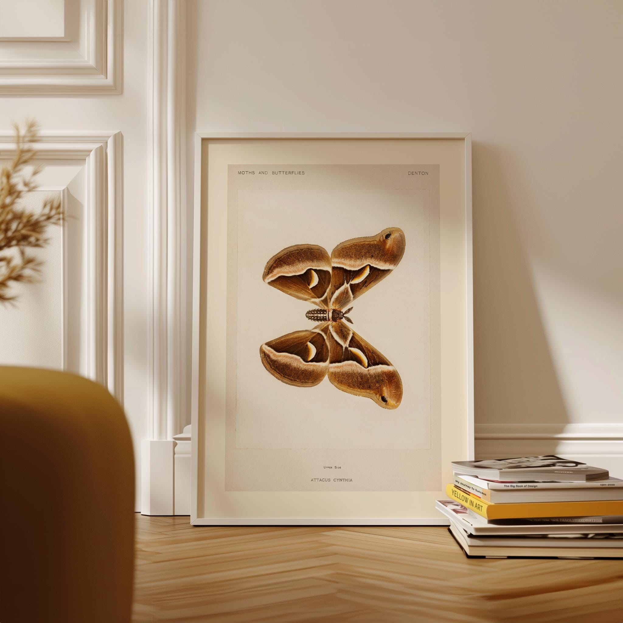 Vintage Moth Wall Art Print, Antique Natural History Illustration ...