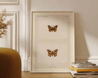 Plakat z ilustracją antycznej historii naturalnej, wydruk ścienny z motywem motyla