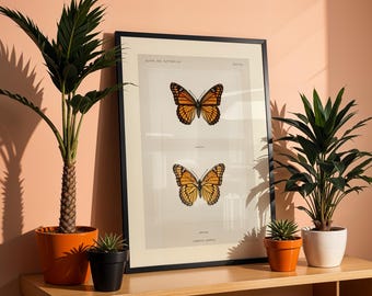 Sztuka ścienna z motylem w stylu vintage – ilustracja historii naturalnej w stylu monarchy