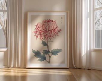 Japanese Vintage Chrysanthemum Wall Art Print, Traditional Pink Floral Botanical Illustration