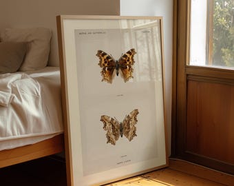 Plakat ścienny z motywem motyla w stylu vintage, antyczna ilustracja historii naturalnej, wystrój w stylu entomologii
