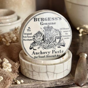 Vasetto antico per pasta d'acciughe Burgess's con coperchio / Barattolo pubblicitario vittoriano in gres / Articoli da cucina inglesi