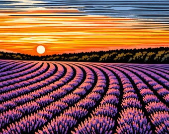 Póster con impresión artística de un campo de lavanda al atardecer